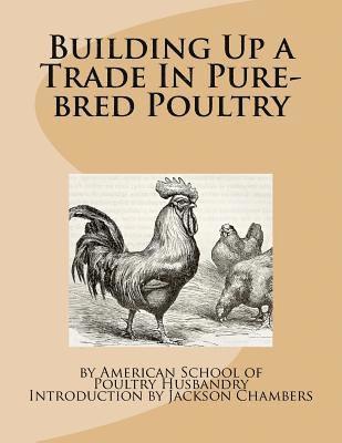 Building Up a Trade In Pure-bred Poultry 1