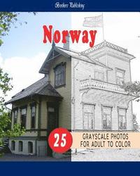 bokomslag Cities Grayscale Coloring Book for Adult Landmarks in Norway Grayscale Coloring Book: Cities Grayscale Coloring Book for Adult Landmarks in Norway Gra