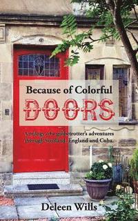 bokomslag Because of Colorful Doors