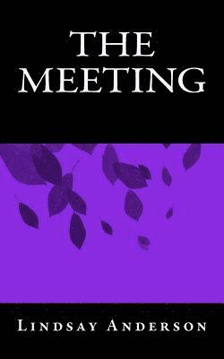 bokomslag The Meeting