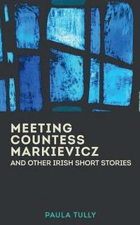 bokomslag Meeting Countess Markievicz and Other Irish Short Stories