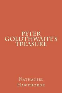 bokomslag Peter Goldthwaite's Treasure