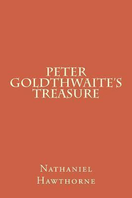 bokomslag Peter Goldthwaite's Treasure