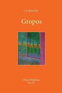 bokomslag Gropos: De varia materia y vida transitoria