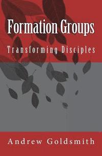 bokomslag Formation Groups: Transforming Disciples. A resource for small groups