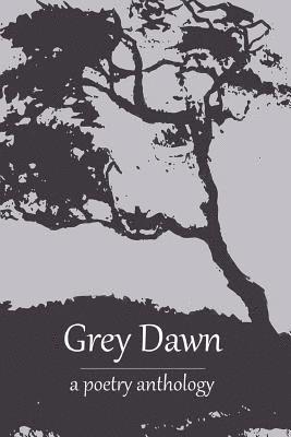 Grey Dawn 1
