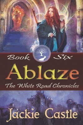 bokomslag Ablaze: Book Six