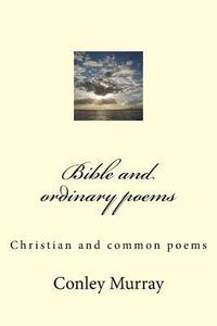 bokomslag Bible and non fiction poems: Christian and non fiction poems