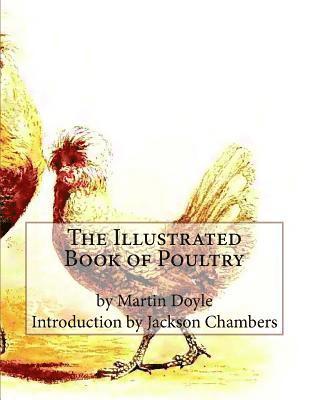 bokomslag The Illustrated Book of Poultry