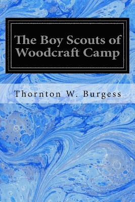 bokomslag The Boy Scouts of Woodcraft Camp