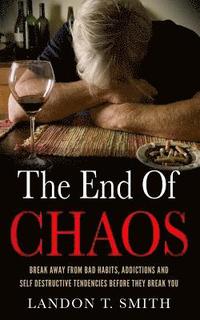 bokomslag The End Of Chaos