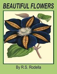 bokomslag Beautiful Flowers: Coffee Table Book