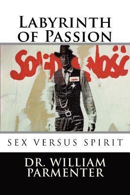 bokomslag Labyrinth of Passion
