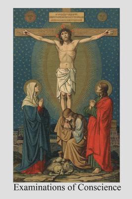 Brother Hermenegild Tosf - Examinations of Conscience, Häftad