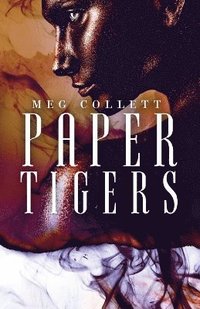 bokomslag Paper Tigers