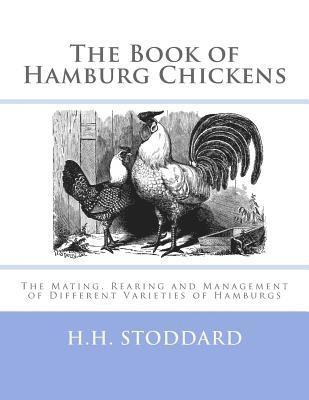 bokomslag The Book of Hamburg Chickens: The Mating, Rearing and Management of Different Varieties of Hamburgs