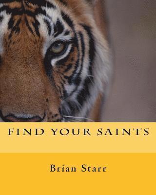 bokomslag Find Your Saints