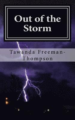 bokomslag Out of the Storm: Book of Poems