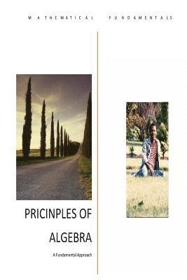 Principles of Algebra: A Fundamental Approach 1