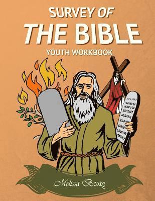 bokomslag Survey of the Bible: Youth Workbook
