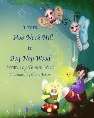 From Hob Nock Hill to Bog Nop Wood 1