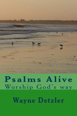 bokomslag Psalms--A Devotional Commentary: Comfort for painful times