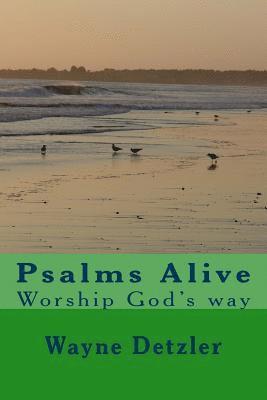 Wayne Detzler - Psalms--A Devotional Commentary: Comfort for painful times, Häftad