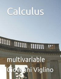 bokomslag Calculus: multivariable