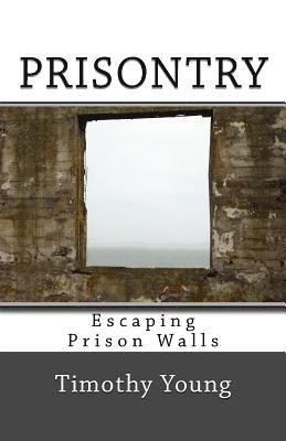 Prisontry: Escaping Prison Walls 1