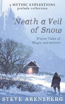 Steve Arensberg - Neath a Veil of Snow: Winter Tales of Magic and Secrets, Häftad