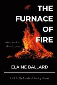 bokomslag The Furnace of Fire: An inspiring book bringing HOPE. The Furnace of Fire is a devotional written especially for people with Arachnoiditis