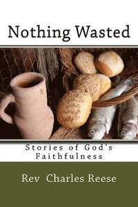 bokomslag Nothing Wasted: Stories of God's Faithfulness