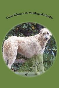 bokomslag Como Educar a Un Wolfhound Irlandes