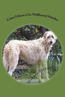 Como Educar a Un Wolfhound Irlandes 1