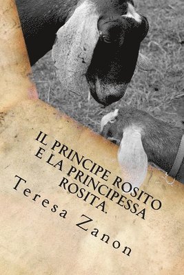 bokomslag Il Principe Rosito e la Principessa Rosita.