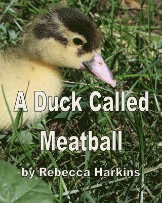 Rebecca Harkins - A Duck Called Meatball, Häftad