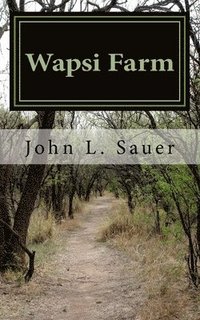 bokomslag Wapsi Farm