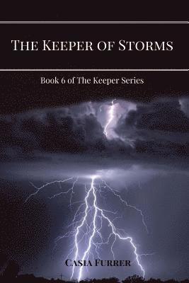 bokomslag The Keeper of Storms