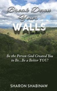 bokomslag Break Down Your Walls: Be the Person God Created You to Be...Be a Better You!