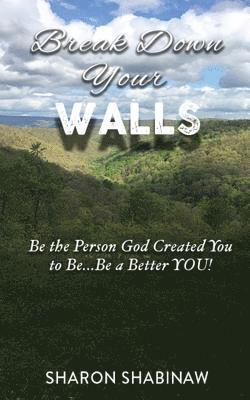 bokomslag Break Down Your Walls: Be the Person God Created You to Be...Be a Better You!