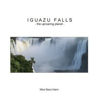 bokomslag Iguazu Falls