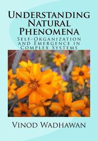 bokomslag Understanding Natural Phenomena: Self-Organization and Emergence in Complex Systems
