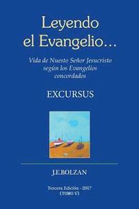 bokomslag Leyendo el Evangelio... (TOMO V): Excursus