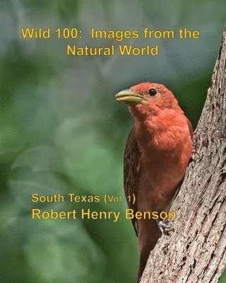 bokomslag Wild 100: Images from the Natural World: South Texas (vol. 1)