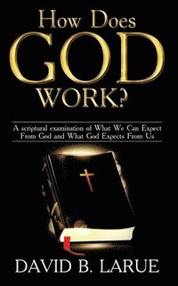 bokomslag How Does God Work?: A scriptural examination of What We Can Expect From God and What He Expects From Us