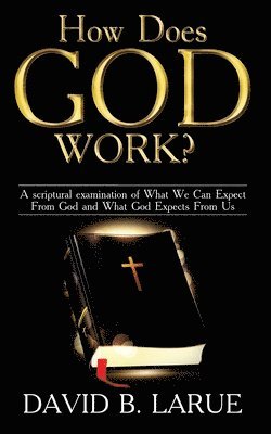 bokomslag How Does God Work?: A scriptural examination of What We Can Expect From God and What He Expects From Us