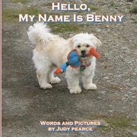 bokomslag Hello, My Name Is Benny