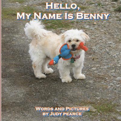 Hello, My Name Is Benny 1