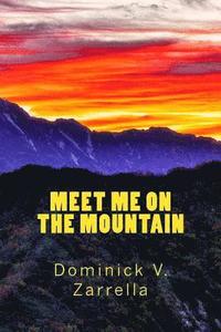 bokomslag Meet Me on the Mountain