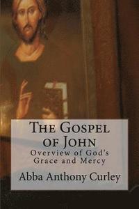 bokomslag The Gospel of John: Overview of God's Grace and Mercy